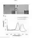 Fig. 06 - Angle-independent colloidal particles-based structure and method for producing the same