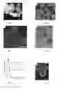 Fig. 02 - Highly aminated self-assembling functionalized mesoporous silica nanoparticles and method of synthesis