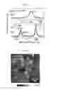 Fig. 03 - Electronically abrupt borophene/organic lateral heterostructures and preparation thereof