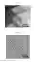 Fig. 04 - Electronically abrupt borophene/organic lateral heterostructures and preparation thereof
