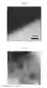 Fig. 05 - Electronically abrupt borophene/organic lateral heterostructures and preparation thereof