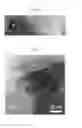 Fig. 06 - Electronically abrupt borophene/organic lateral heterostructures and preparation thereof