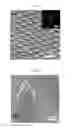Fig. 08 - Electronically abrupt borophene/organic lateral heterostructures and preparation thereof