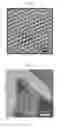 Fig. 16 - Electronically abrupt borophene/organic lateral heterostructures and preparation thereof