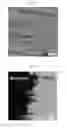 Fig. 17 - Electronically abrupt borophene/organic lateral heterostructures and preparation thereof