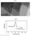 Fig. 19 - Electronically abrupt borophene/organic lateral heterostructures and preparation thereof