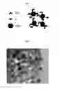Fig. 02 - FUNCTIONALIZED METAL OXIDE NANOPARTICLES, METHODS OF PREPARATION AND USES THEREOF