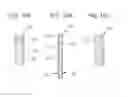 Fig. 11 - PIEZOELECTRIC MATERIAL, PIEZOELECTRIC ELEMENT, AND ELECTRONIC EQUIPMENT