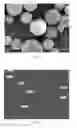 Fig. 03 - Water capsules and their preparation method, preparation method and structure of lightweight concrete