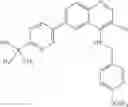 Fig. 338 - Heterocyclic compounds useful as modulators of TNF alpha