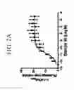 Fig. 04 - Compounds for use in preparing heterocyclic triazole agonists of the APJ receptor