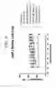 Fig. 07 - Compounds for use in preparing heterocyclic triazole agonists of the APJ receptor