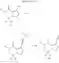 Fig. 12 - 6,7-dihydropyrazolo[1,5-a]pyrazin-4(5H)-one compounds and their use as negative allosteric modulators of mGluR2 receptors