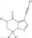 Fig. 124 - 6,7-dihydropyrazolo[1,5-a]pyrazin-4(5H)-one compounds and their use as negative allosteric modulators of mGluR2 receptors