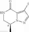 Fig. 22 - 6,7-dihydropyrazolo[1,5-a]pyrazin-4(5H)-one compounds and their use as negative allosteric modulators of mGluR2 receptors