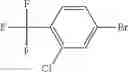 Fig. 31 - 6,7-dihydropyrazolo[1,5-a]pyrazin-4(5H)-one compounds and their use as negative allosteric modulators of mGluR2 receptors