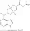 Fig. 19 - Pyrrole heteroaryl ring derivative and method of use thereof