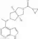 Fig. 22 - Pyrrole heteroaryl ring derivative and method of use thereof