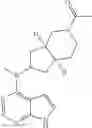 Fig. 44 - Pyrrole heteroaryl ring derivative and method of use thereof