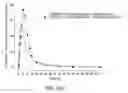 Fig. 54 - Processes for the preparation of (3S,4R)-3-ethyl-4-(3H-imidazo[1,2-α]pyrrolo[2,3-e]-pyrazin-8-yl)-N-(2,2,2-trifluoroethyl)pyrrolidine-1-carboxamide and solid state forms thereof