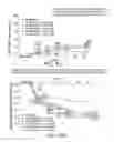 Fig. 75 - Processes for the preparation of (3S,4R)-3-ethyl-4-(3H-imidazo[1,2-α]pyrrolo[2,3-e]-pyrazin-8-yl)-N-(2,2,2-trifluoroethyl)pyrrolidine-1-carboxamide and solid state forms thereof