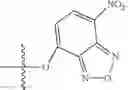 Fig. 35 - Functionalized NANOLUC inhibitors