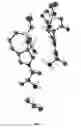 Fig. 02 - Compositions and methods for inhibiting arginase activity