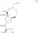 Fig. 22 - Compositions and methods for inhibiting arginase activity