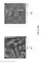 Fig. 09 - Fluorinated cycloalkene functionalized silicas