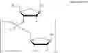 Fig. 09 - Methods for the synthesis of functionalized nucleic acids