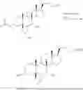 Fig. 167 - Methods for preparation of bile acids and derivatives thereof