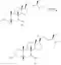 Fig. 80 - Methods for preparation of bile acids and derivatives thereof