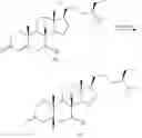 Fig. 89 - Methods for preparation of bile acids and derivatives thereof