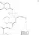 Fig. 08 - Hybrid cyclic libraries and screens thereof