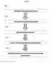 Fig. 03 - Epitope focusing by variable effective antigen surface concentration