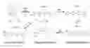 Fig. 01 - Microorganisms with broadened light absorption capability and increased photosynthetic activity