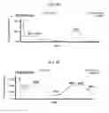 Fig. 09 - Microorganisms with broadened light absorption capability and increased photosynthetic activity