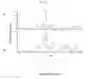Fig. 23 - Microorganisms with broadened light absorption capability and increased photosynthetic activity