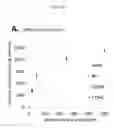 Fig. 30 - Microorganisms with broadened light absorption capability and increased photosynthetic activity