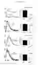 Fig. 06 - SARCOMERE BIOSENSOR AND METHODS OF USE THEREOF