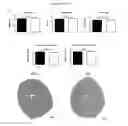 Fig. 11 - SARCOMERE BIOSENSOR AND METHODS OF USE THEREOF