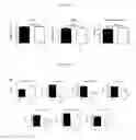 Fig. 12 - SARCOMERE BIOSENSOR AND METHODS OF USE THEREOF