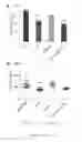 Fig. 08 - Method for treating myelofibrosis comprising administering a transforming growth factor beta type II receptor antagonist