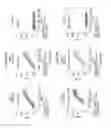 Fig. 09 - LYMPHOTOXIN-BETA RECEPTOR-BINDING AGENTS, TARGETING ANTIBODIES, AND USES THEREOF