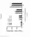 Fig. 22 - LYMPHOTOXIN-BETA RECEPTOR-BINDING AGENTS, TARGETING ANTIBODIES, AND USES THEREOF