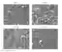 Fig. 04 - Modified relaxin polypeptides comprising a pharmacokinetic enhancer and uses thereof