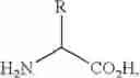 Fig. 37 - Modified relaxin polypeptides comprising a pharmacokinetic enhancer and uses thereof