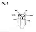 Fig. 06 - Single-Chain Trail-Receptor Agonist Proteins