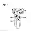 Fig. 08 - Single-Chain Trail-Receptor Agonist Proteins