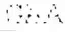 Fig. 03 - ALBUMIN VARIANTS
